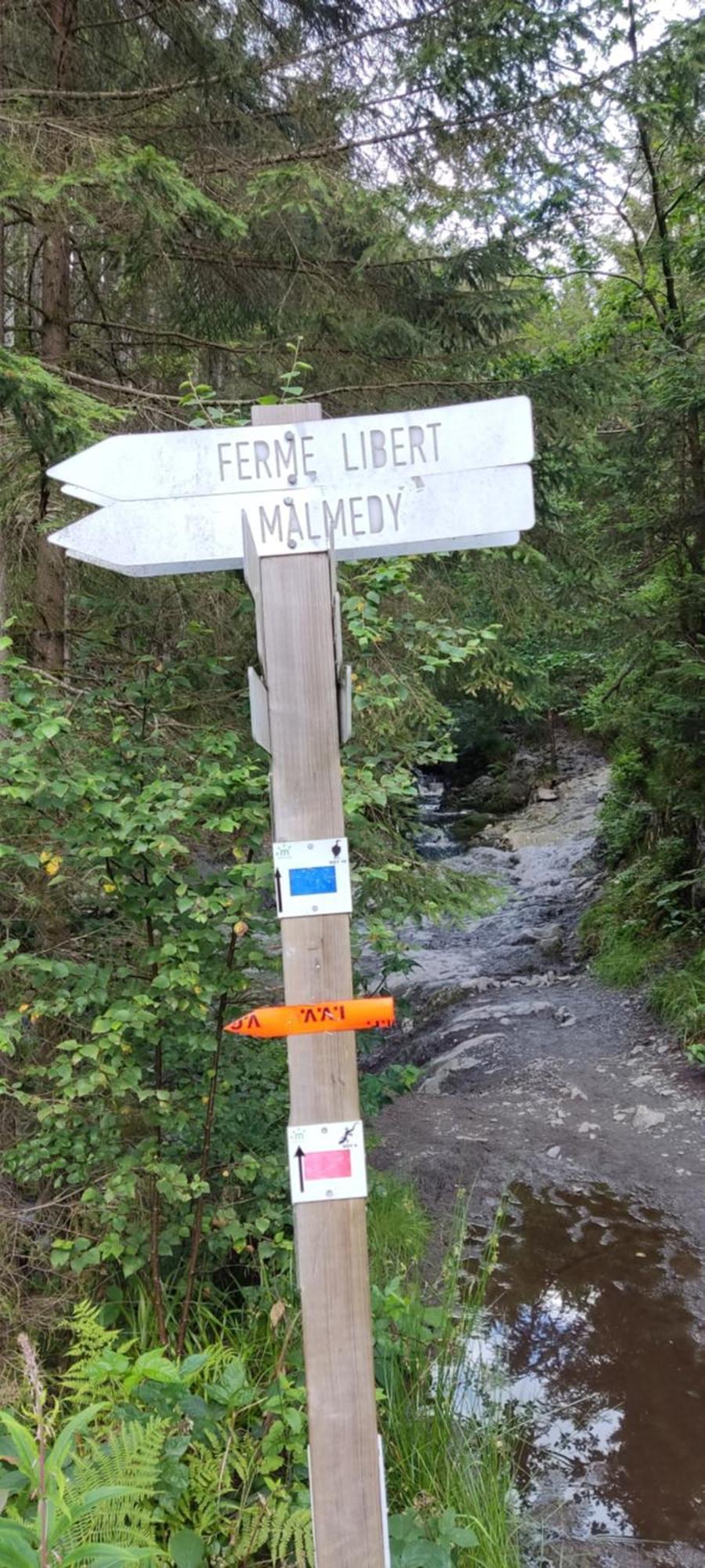 Au Coin De La Cascade Longfaye Exterior foto